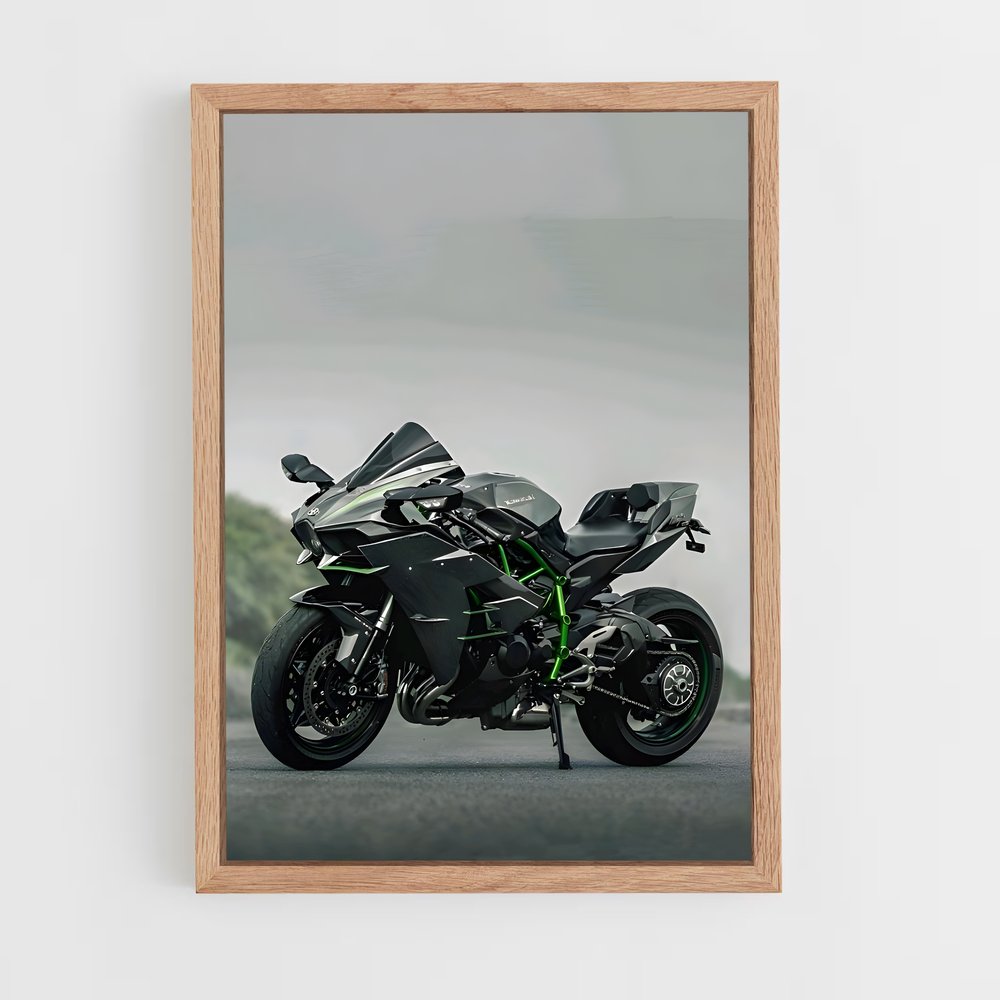 Poster Héros Ninja énigmatique (vue 4)